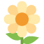:blossom: 🌼